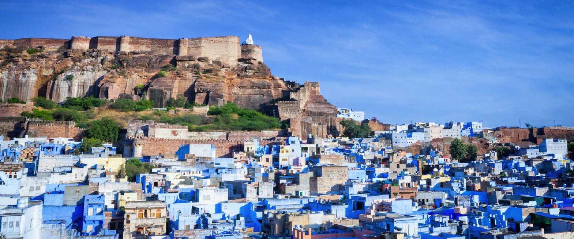 Explore the Golden Triangle Tour with Wildlife